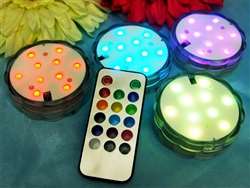 4 Pack Fairy Nest LED Vase Lights – Remote-Controlled (Assorted Colors)