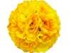 4 x HI HONEY!Kissing Balls - Yellow Roses