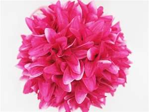 4 x ALWAYS CLOUD 9 Kissing Balls - Fushia Dahlias