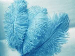 12 Fabulous Ostrich Feathers - Turquoise