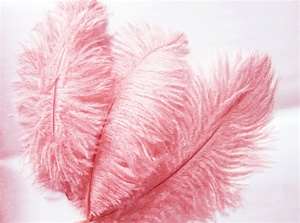 12 Fabulous Ostrich Feathers - Pink