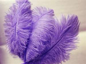 12 Fabulous Ostrich Feathers - Purple