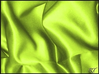 60"X120" Rectangular Matte Satin / Lamour Table Cloths - Apple Green