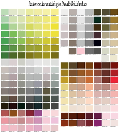 Pantone Group Color