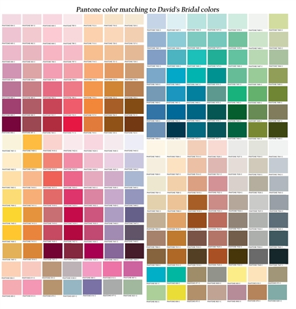 Pantone Group Color