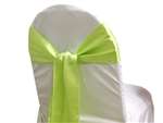 Econoline Satin Sash - Apple Green
