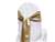 Econoline Satin Sash - Champagne