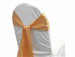 Econoline Satin Sash - Peach