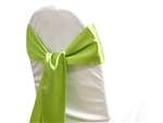Econoline Satin Sash - Sage Green