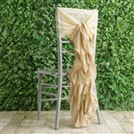 Champagne Chiffon Hoods With Curly Willow Chiffon Chair Sashes