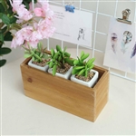 11x6'' Natural Rectangular Wood Planter Box Set With Removable Plastic Liners - 4 Pack
