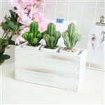 11x6'' Whitewash Rectangular Wood Planter Box Set With Removable Plastic Liners - 4 Pack