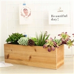 18"x6" Natural Rectangular Wood Planter Box Set With Removable Plastic Liners