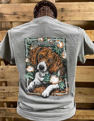 Beagle in Cotton