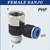 Composite Push to Connect Hose Fittings - Female Banjo- Tube X NPT