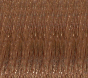 Hair Extension Sample Number 12 Light Golden Brown