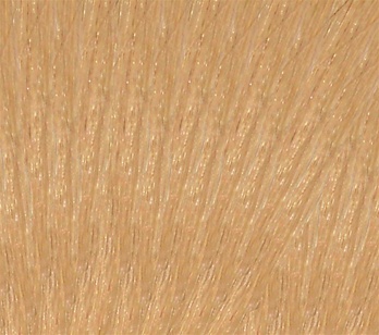 Hair Extension Sample Number 24 Pale Golden Blond