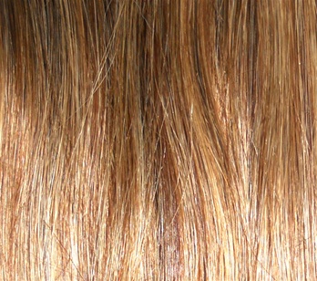 Hair Extension Sample Chestnut Brown-Honey Blond MIX