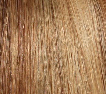 Hair Extension Sample Medium Ash Brown-Pale Golden Blond MIX