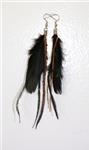 feather earrings