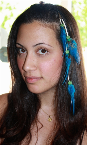 Feather Extensions (clips)