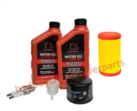 Bad Boy Mowers Part #063-2000-08 - MZ Briggs Intek 19HP (540CC) Engine Service Kit