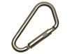 DBI-SALA Saflok Stainless Steel Carabiner with Locking Gate | 2000301