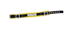 Positioning Belt with Back Pad and 2 side D Rings- 2011 - 3M - Fall Protection