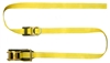 30' Ratchet Boom Strap with D-Ring