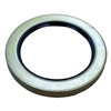 Oil Seal