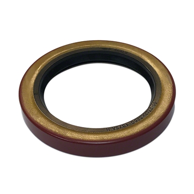 Oil Seal