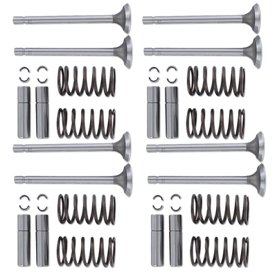 Valve Train Kit, less retainers and roto caps