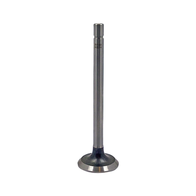 Exhaust Valve
