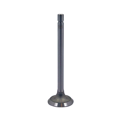 Intake Valve