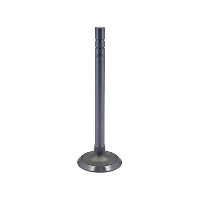 Intake Valve
