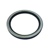 Rear Axle Outer Oil Seal