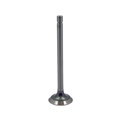Exhaust Valve