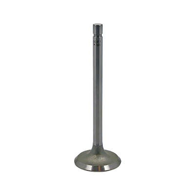 Intake Valve