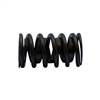 Valve Spring