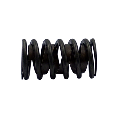 Valve Spring