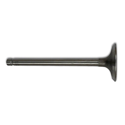 Intake Valve
