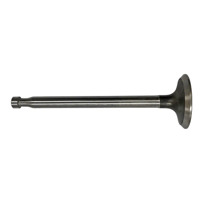 Exhaust Valve