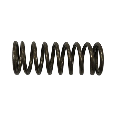 Hydraulic Pump Piston Spring