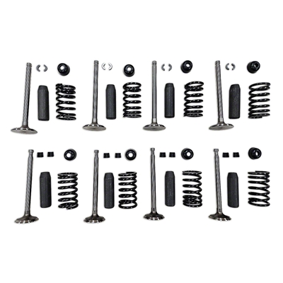 Valve Train Kit includes new valves, guides, seals, springs and locks