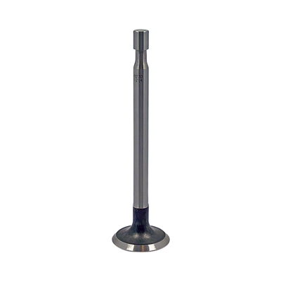 Exhaust Valve