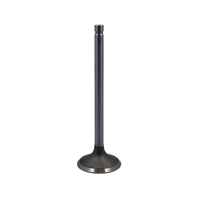 Intake Valve