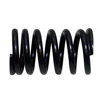 Valve Spring