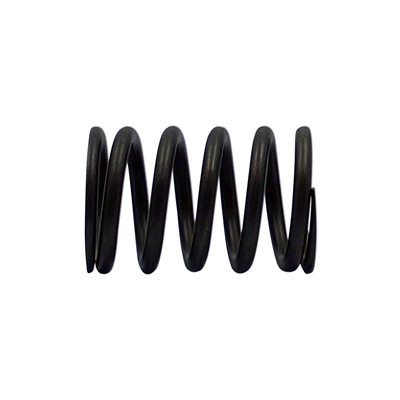 Valve Spring