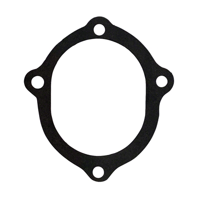 Water Pump Backplate Gasket