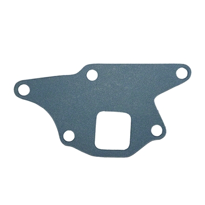 Water Pump Gasket